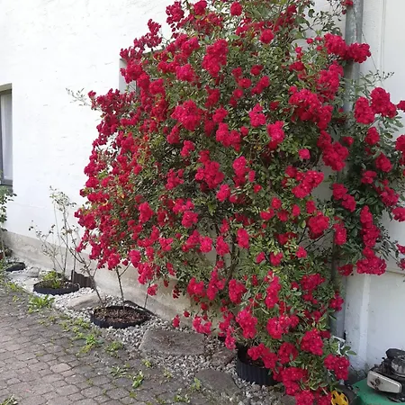 Pusterhofer Apartmán Rettenegg