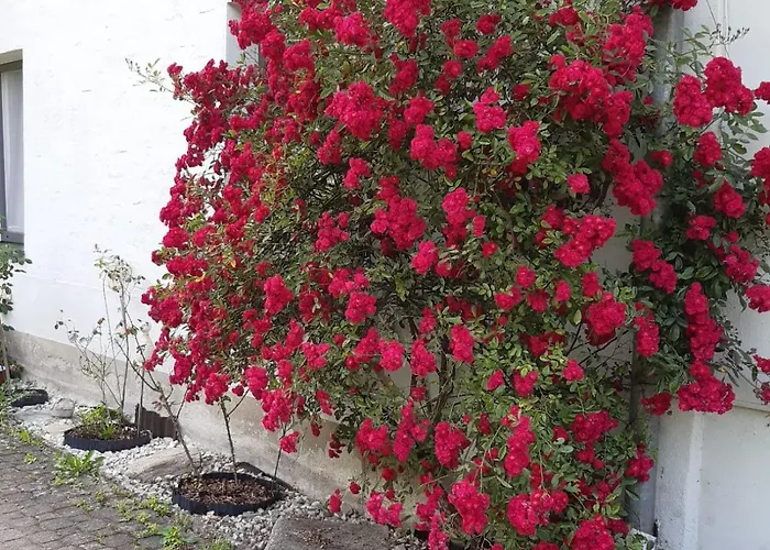 Pusterhofer شقة Rettenegg