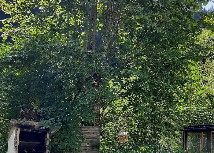 شقة Pusterhofer *